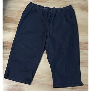 Denim 24/7 Jean Shorts Blue 28W